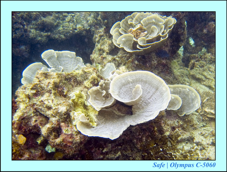 2008 - 07 - Perhentian - 003